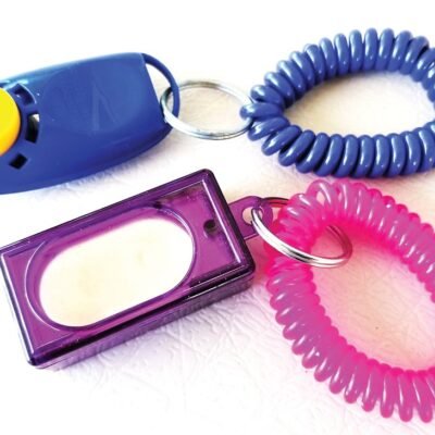 Clicker For Dog