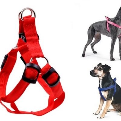 Dog Nylon Body Harness With Leash Strap