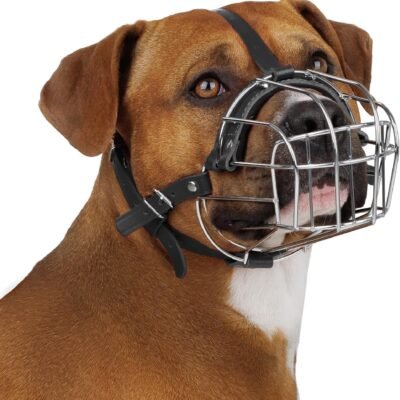 Imported Dog Muzzle