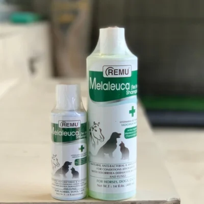 Melaleuca Tea Tree