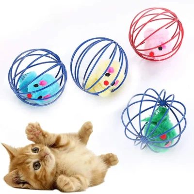 Mouse Cage Ball