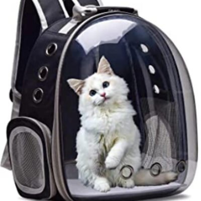 Pet Carrying Bag