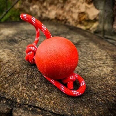 Pet Chewing Red Hard Ball Toy with Rope