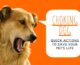 Choking Dog: Quick Actions to Save Your Pet’s Life