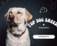 Unveiling Pakistan’s Top Dog Breeds: A Guide to the Most Beloved Companions