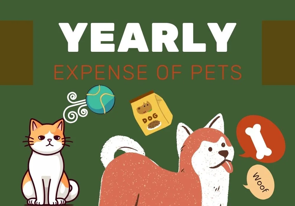 Yearly Cost of Owning a Pet: Detailed Expense Breakdown