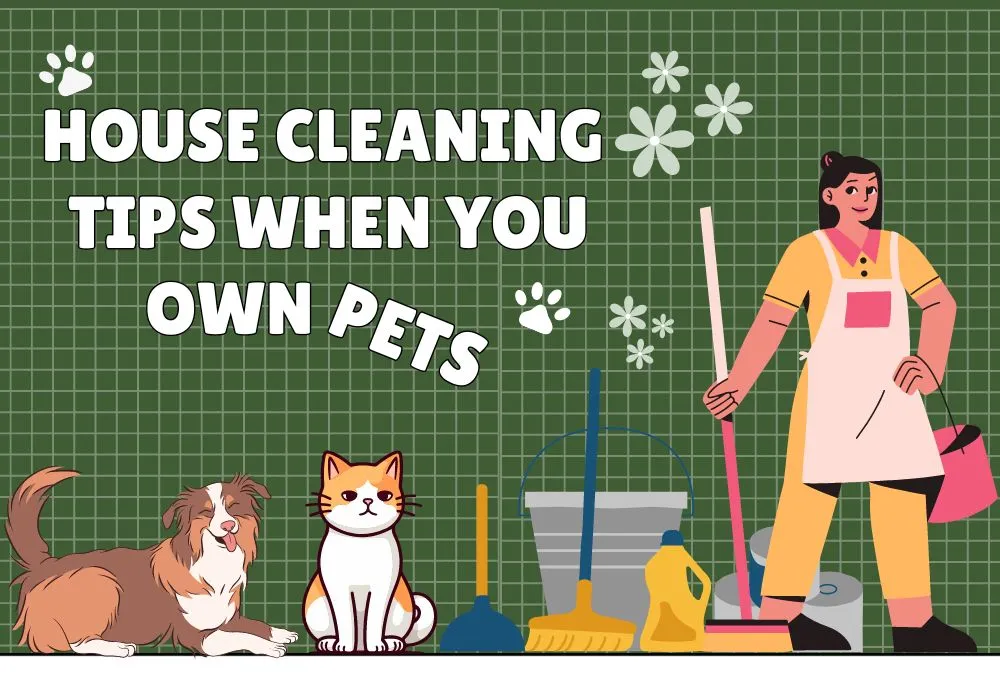 Effective Tips to Keep Your House Clean When You Own a Pet