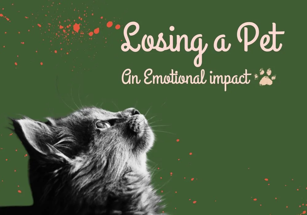 Losing a Pet: The Deep Emotional Impact and How to Cope