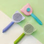 Cat Face Self Cleaning Button Brush For Cats And Dogs