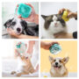 Silicone Brush for pets Washing Massage Shampoo Dispenser 8